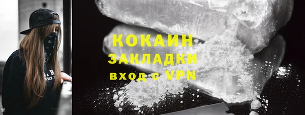 прущие грибы Архангельск