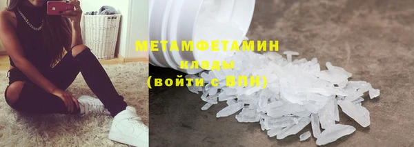 прущие грибы Архангельск