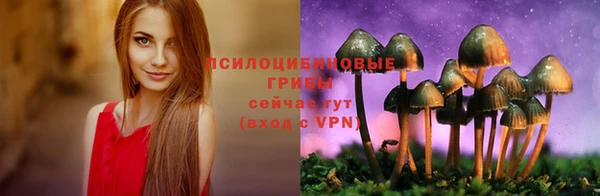прущая мука Сосновка