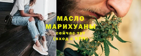 прущие грибы Архангельск