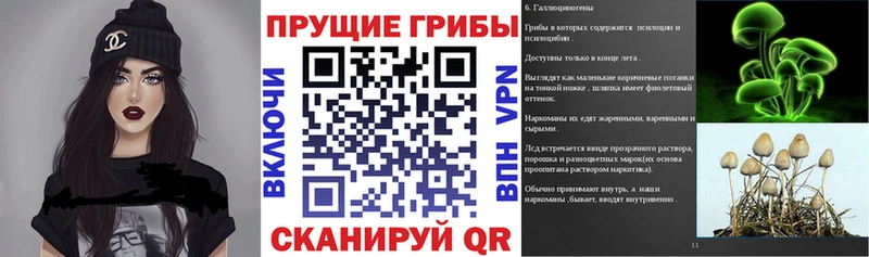 сайты даркнета состав  Байкальск  Псилоцибиновые грибы Magic Shrooms 